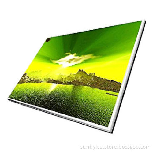 10.1-inch 1,024 x 600 Pixels WXGA LCD TFT Screen